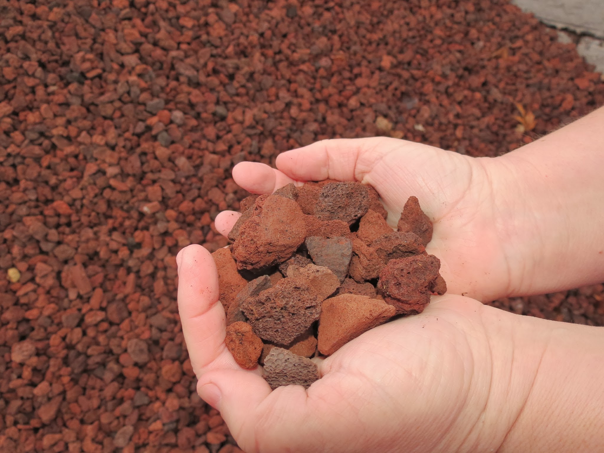 Red Rock | Bulk Product | Kopacz Nursery & Florist in Hermiston Oregon
